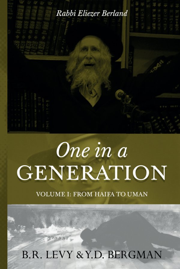 Cover of One in a Generation — Volume 1