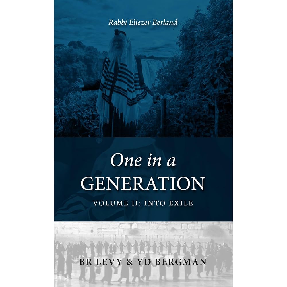 Cover of One in a Generation — Volume 2