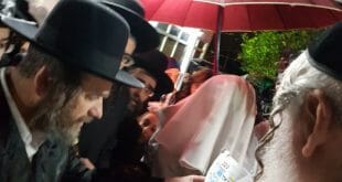 הרב קארפ עם הרב ברלנד