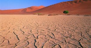 תפילה למולד חודש אב - הגה"צ הרב אליעזר ברלנד שליט"א