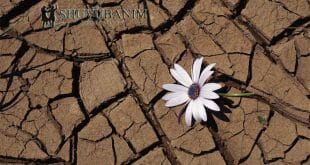 תפילה לפני ההתבודדות - הגה"צ הרב אליעזר ברלנד שליט"א