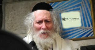 דברי הגה"צ הרב אליעזר ברלנד שליט"א לפרשת כי תצא