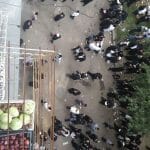 הגה"צ הרב אליעזר ברלנד שליט"א בדרך לקיבוץ הקדוש והגדול באומן תשע"ח