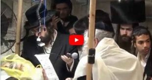 שבע ברכות למשפחת הלר אצל הגה"צ הרב אליעזר ברלנד שליט"א