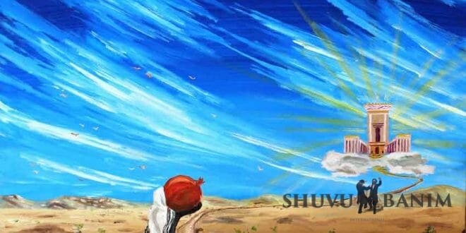 פרשת ויקהל- פקודי מאת הגה"צ הרב אליעזר ברלנד שליט"א - הציור באדיבות יהשוע ויסמן שיחי'