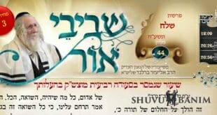 עלון שביבי אור פרשת השבוע של הגה"צ הרב אליעזר ברלנד שליט"א