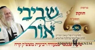 עלון שביבי אור פרשת השבוע של הגה"צ הרב אליעזר ברלנד שליט"א