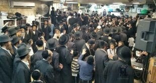 שבע הברכות של הבה"ח בן דוד תלמיד הגה"צ הרב אליעזר ברלנד שליט"א 2