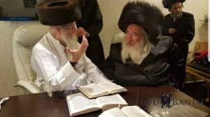 כ"ק הגה"צ הרב אליעזר ברלנד שליט"א לומד בחתונה עם האדמו"ר שליט"א מספינקא