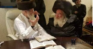 כ"ק הגה"צ הרב אליעזר ברלנד שליט"א לומד בחתונה עם האדמו"ר שליט"א מספינקא