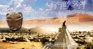 דברי הגה"צ הרב אליעזר ברלנד שליט"א לפרשת חיי שרה - התמונה בעריכת ש. סולמונוביץ'