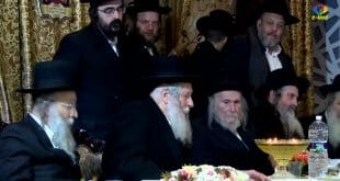 מורנו הרב שליטא הרב נחמן ברלנד הרב אליהו סוכות הרב שמואל שטרן הרב צבי חלמיש הרב אבא טוריצקי