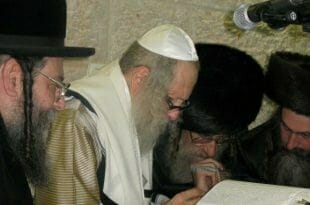 הרב ניסן קיוואק הרב ברלנד הרב יהודה שיינפלד והרב שמואל שטרן
