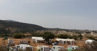 ראש השנה בצלמון