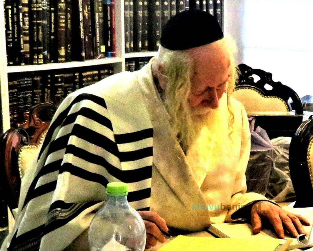 גלריית תמונות חדשה – הגה"צ הרב אליעזר ברלנד שליט"א