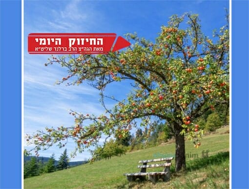 נגעה בתיבה של משה התרפאה – החיזוק היומי מהגה"צ הרב אליעזר ברלנד שליט"א